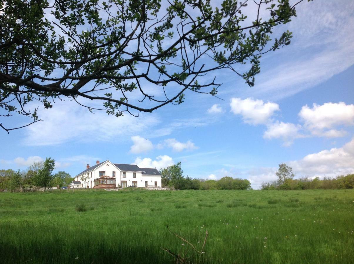 Apartamento Penddaulwyn Uchaf Farm # Carmarthenshire Nantgaredig Exterior foto