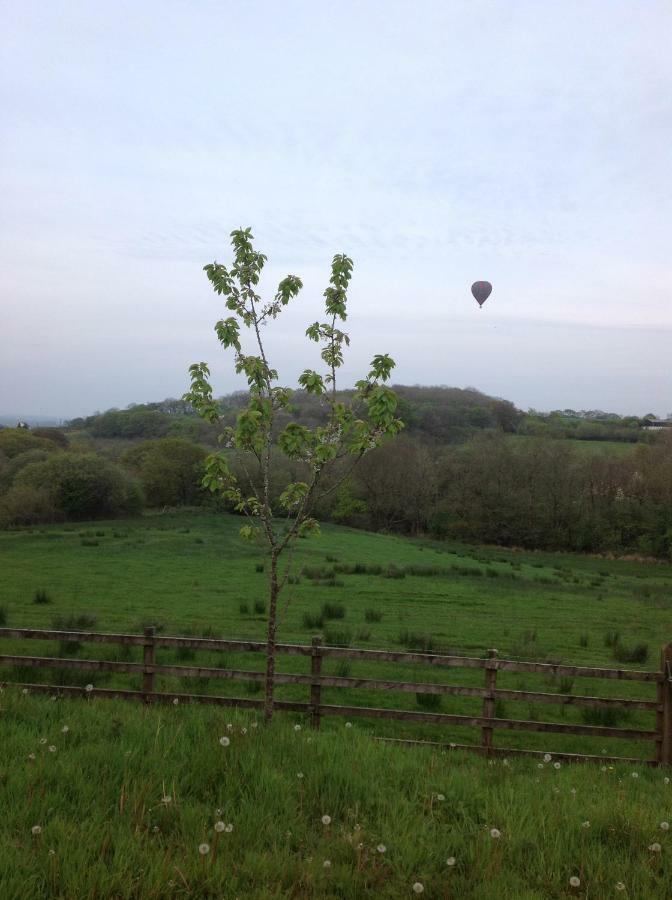 Apartamento Penddaulwyn Uchaf Farm # Carmarthenshire Nantgaredig Exterior foto