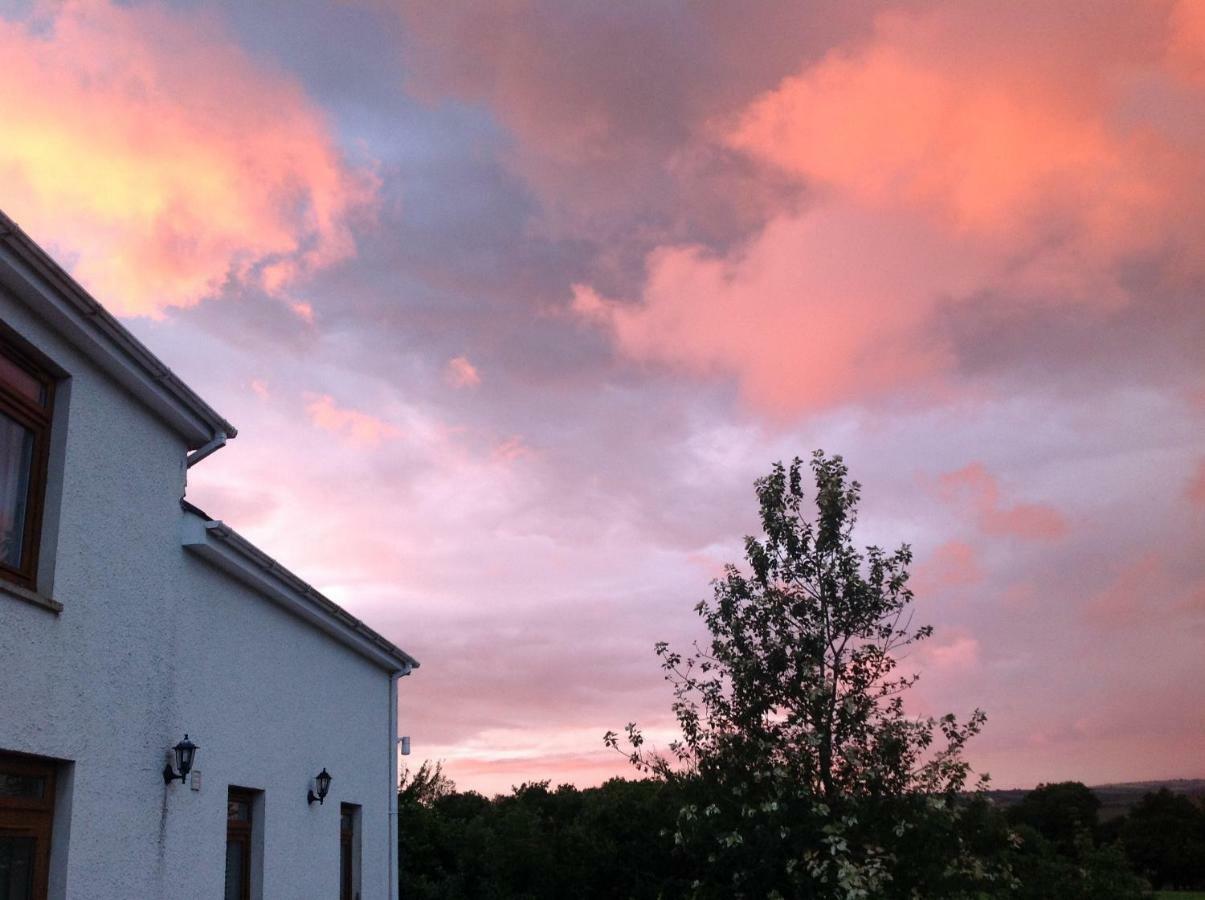 Apartamento Penddaulwyn Uchaf Farm # Carmarthenshire Nantgaredig Exterior foto